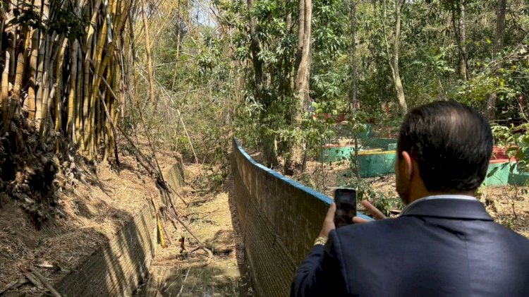 João Pinheiro se indigna com estado do Bosque Municipal e promete transformação radical em seu plano de governo