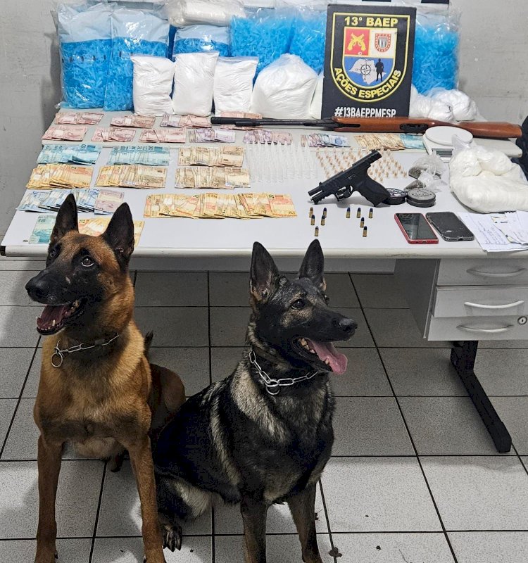Com ajuda dos cães Seth e Kaia, Polícia Militar prende homem por tráfico de drogas e posse ilegal de arma de fogo na zona sul de Marília
